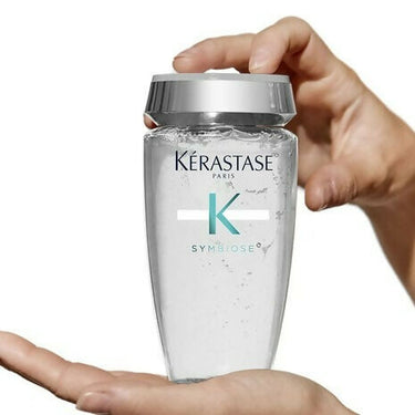 https://cdn.shopify.com/s/files/1/1857/6931/files/c9PNqaqYi4.jpg?v=1715421477